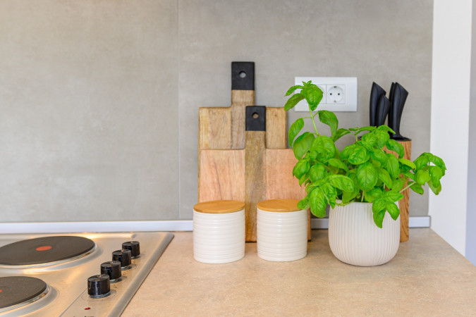 Villa Zidine Puntera