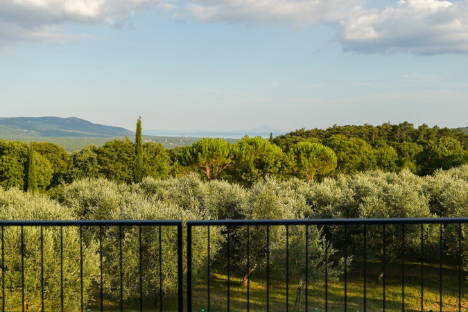 Villa Zidine Puntera